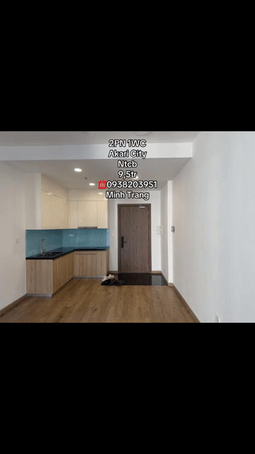 Cho thuê Căn hộ Chung cư Akari City Quận Bình Tân Tp Hồ Chí Minh diện tích 61 m² giá 9,5 triệu/tháng