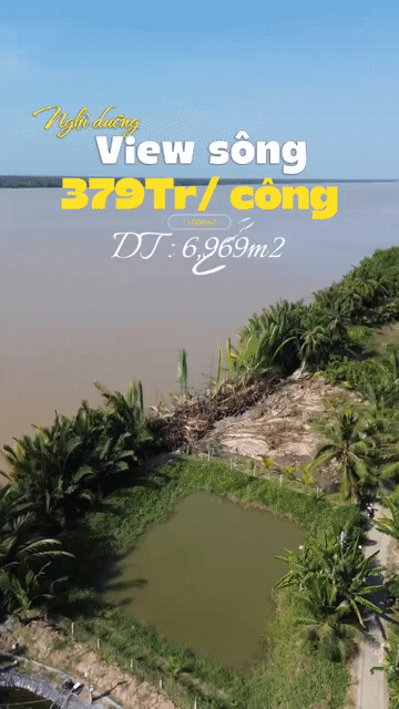 Mua bán Đất Huyện Tân Phú Đông Tiền Giang diện tích 6969 m² giá 2,64 tỷ