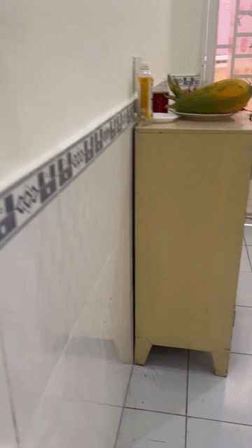 Cho thuê Nhà ở Quận 12 Tp Hồ Chí Minh diện tích 100 m² giá 7,5 triệu/tháng