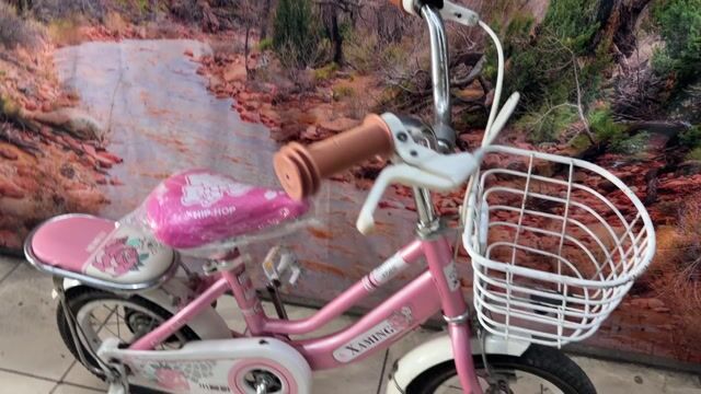 Xe trẻ em XAMING hồng 12 inch. Mua bán Xe đạp tại Quận Tân Bình Tp Hồ Chí Minh được đăng bởi Bbb hình 1