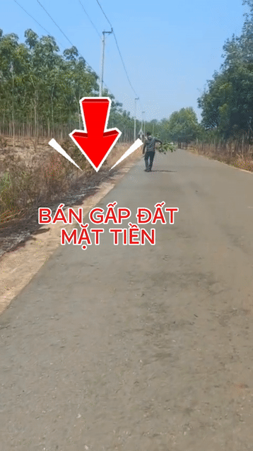 Mua bán Đất Chơn Thành Golden Land Huyện Chơn Thành Bình Phước diện tích 217 m² giá 300 triệu
