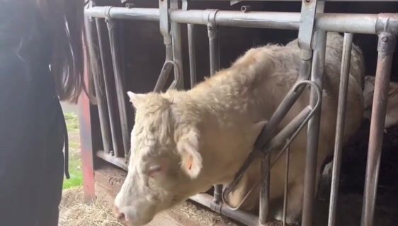 Agriculteur, un métier de passion