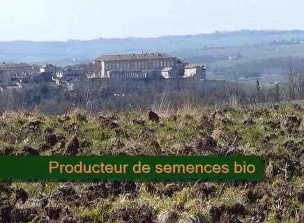 Producteur semencier bio