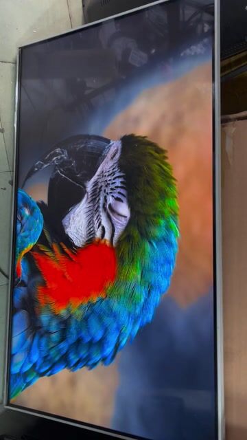 Tivi LG 43nano77. Mua bán Tivi, Âm thanh tại Quận Phú Nhuận Tp Hồ Chí Minh được đăng bởi Điện tử Ngọc Tâm hình 1