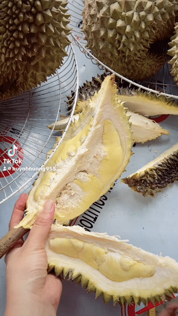 Sầu riêng Thái. Mua bán Đồ ăn, thực phẩm và các loại khác tại Thị xã Tân Uyên Bình Dương được đăng bởi Hương Huỳnh hình 1