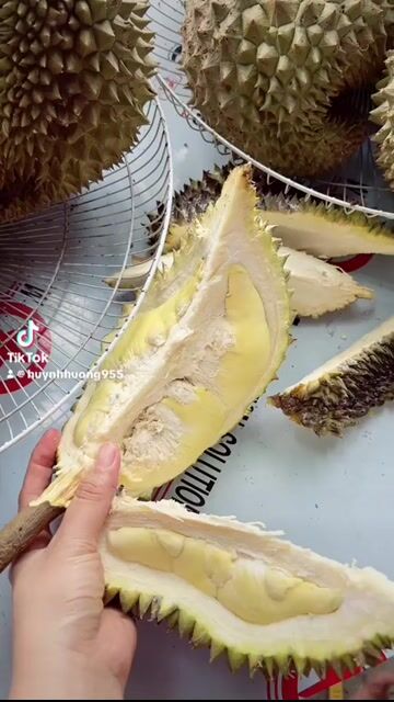 Sầu riêng Thái. Mua bán Đồ ăn, thực phẩm và các loại khác tại Thị xã Tân Uyên Bình Dương được đăng bởi Hương Huỳnh hình 1