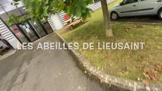 Les abeilles de Lieusaint - BUT Génie Biologique
