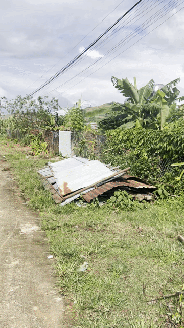 Mua bán Đất Thành phố Buôn Ma Thuột Đắk Lắk diện tích 135 m² giá 270 triệu