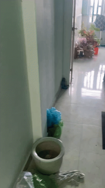Mua bán Nhà ở Huyện Bình Chánh Tp Hồ Chí Minh diện tích 52 m² giá 2,8 tỷ