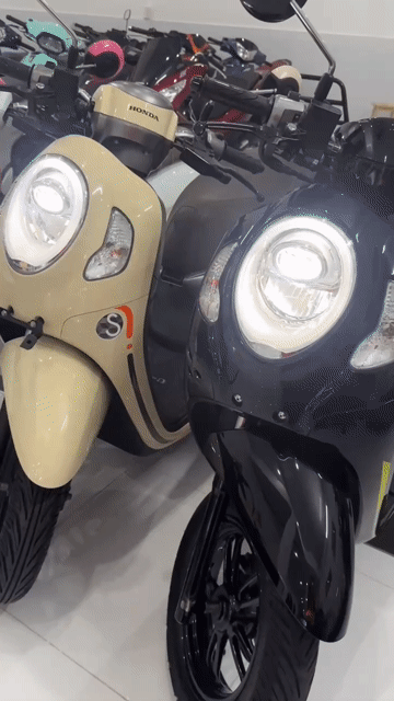 scoopy 2022 ( E có bán góp  ). Mua bán Xe máy tại Quận Ninh Kiều Cần Thơ được đăng bởi MINH THIỆN bán xe trả góp hình 1