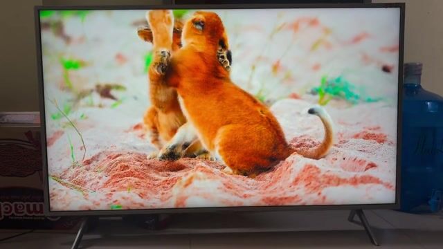 Tivi Samsung QLED 43 inch nhà dùng cần bán lại. Mua bán Tivi, Âm thanh tại Quận Nam Từ Liêm Hà Nội được đăng bởi Nguyễn Nguyễn hình 1