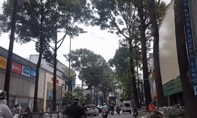 Mua bán Nhà ở Quận 10 Tp Hồ Chí Minh diện tích 53 m² giá 7,8 tỷ