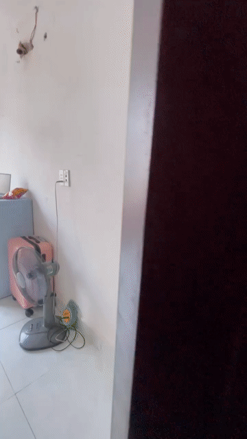 Cho thuê Phòng trọ Quận Gò Vấp Tp Hồ Chí Minh diện tích 15 m² giá 2,2 triệu/tháng