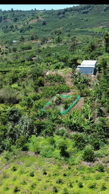 Mua bán Đất Huyện Di Linh Lâm Đồng diện tích 270 m² giá 679 triệu