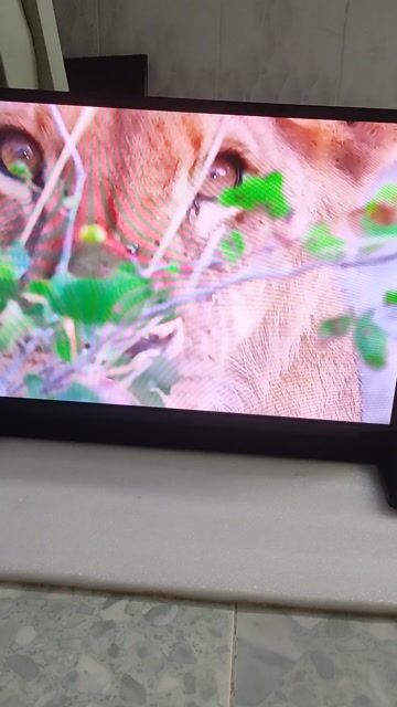 Tivi LED Philips 32 inch. Mua bán Tivi, Âm thanh tại Quận 8 Tp Hồ Chí Minh được đăng bởi mr xì dầu hình 1