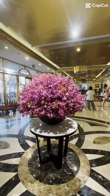 Mua bán Căn hộ Chung cư Quận Sơn Trà Đà Nẵng diện tích 37 m² giá 1,4 tỷ