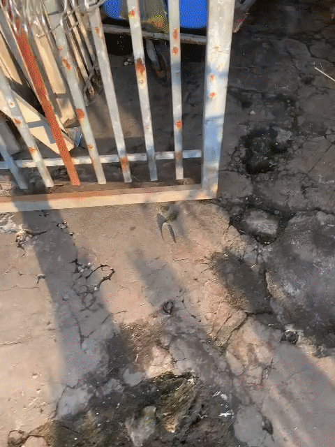 Mua bán Đất Thị xã Phú Mỹ Bà Rịa - Vũng Tàu diện tích 87 m² giá 2,2 tỷ