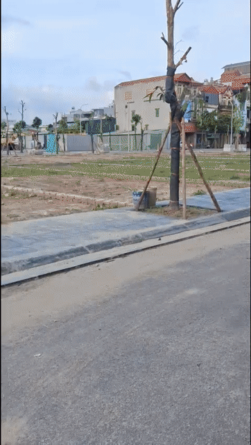 Mua bán Đất Huyện Đông Anh Hà Nội diện tích 62 m² giá 4,154 tỷ