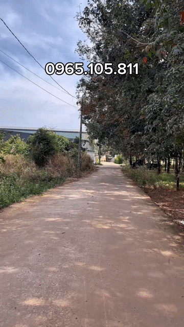 Mua bán Đất Thành phố Đồng Xoài Bình Phước diện tích 4100 m² giá 480 triệu