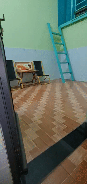 Cho thuê Phòng trọ Quận Bình Thạnh Tp Hồ Chí Minh diện tích 25 m² giá 3,9 triệu/tháng