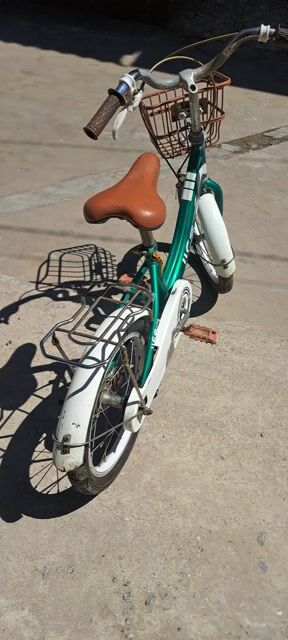 Xe đạp trẻ em Life Xanh lá. Mua bán Xe đạp tại Thành phố Thuận An Bình Dương được đăng bởi Hoang  hình 1