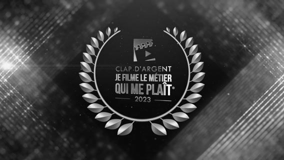 Les Marvels en énergétique