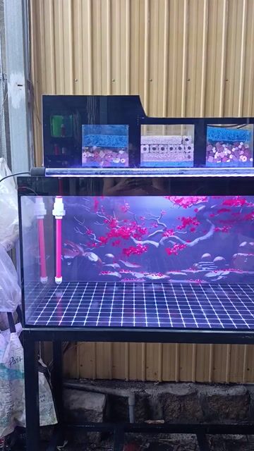 Bể cá cảnh 1mx50x50 8li. Mua bán Phụ kiện, Thức ăn, Dịch vụ tại Thị xã Phú Mỹ Bà Rịa - Vũng Tàu được đăng bởi Pets  hình 1