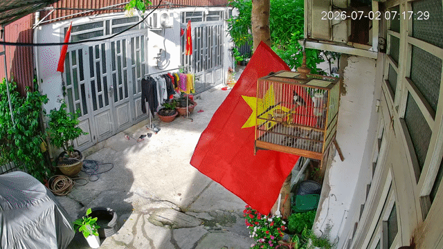 Chim + lồng 950k, cho hơn 1 năm lồng. Mua bán Chim tại Huyện Bình Chánh Tp Hồ Chí Minh được đăng bởi trọng hình 1