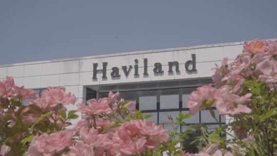 Porcelaine de Limoges : le métier d'Émailleur