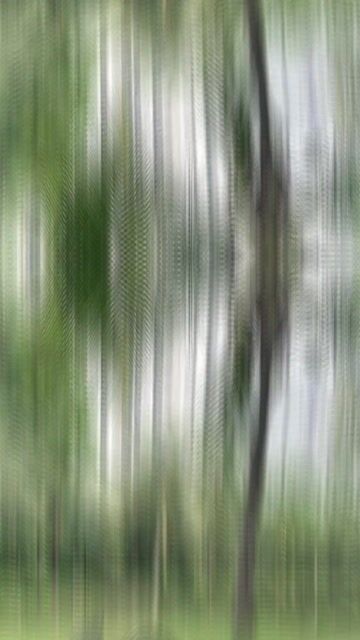 Suzuki GSX R150 2019 Đen, BIỂN SỐ HCM. Mua bán Xe máy tại Thành phố Thủ Đức Tp Hồ Chí Minh được đăng bởi Hồng Lê hình 1