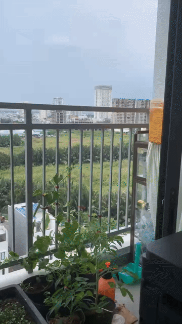 Cho thuê Căn hộ Chung cư Saigon Riverside Complex Q7 Quận 7 Tp Hồ Chí Minh diện tích 67 m² giá 2,5 triệu/tháng