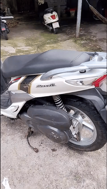 SYM Shark 125cc 2012 Trắng. Mua bán Xe máy tại Huyện Hóc Môn Tp Hồ Chí Minh được đăng bởi Xe Điện Lam Anh hình 1