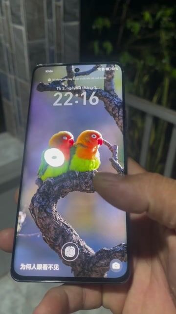 Honor X50 Pro Ram 12/ 256GB rin full. Mua bán Điện thoại tại Huyện Châu Thành Tiền Giang được đăng bởi TMT hình 1