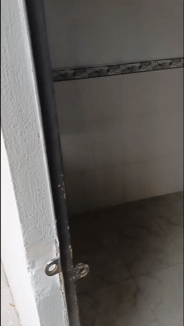 Cho thuê Phòng trọ Thành phố Thủ Đức Tp Hồ Chí Minh diện tích 15 m² giá 2,5 triệu/tháng