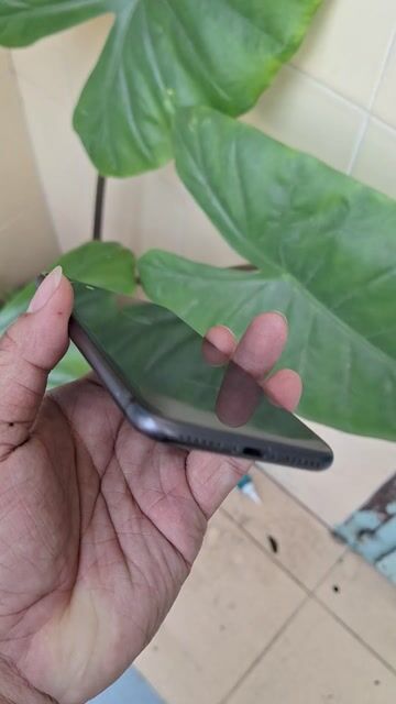  iPhone 8 64GB nguyên rin ,vân tay nhạy . Mua bán Điện thoại tại Quận Hải Châu Đà Nẵng được đăng bởi hoa hình 1
