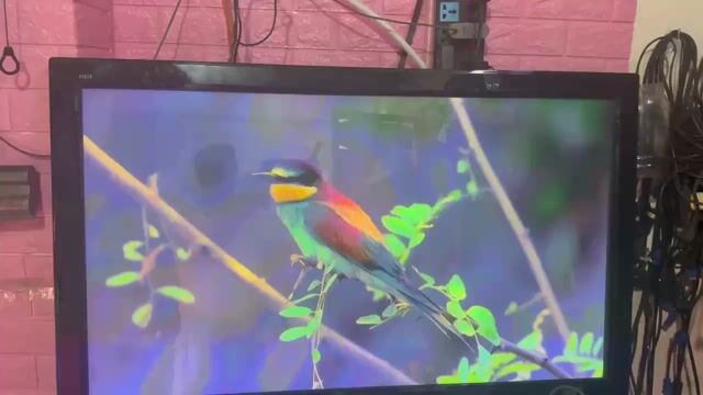 Tivi Panasonic TH-P46X20V. Mua bán Tivi, Âm thanh tại Quận Tân Bình Tp Hồ Chí Minh được đăng bởi hồ hoàng triều hình 1