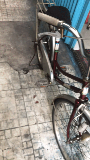 Xe đạp MARTIN Đỏ đã sử dụng. Mua bán Xe đạp tại Quận 7 Tp Hồ Chí Minh được đăng bởi vo thanh long hình 1