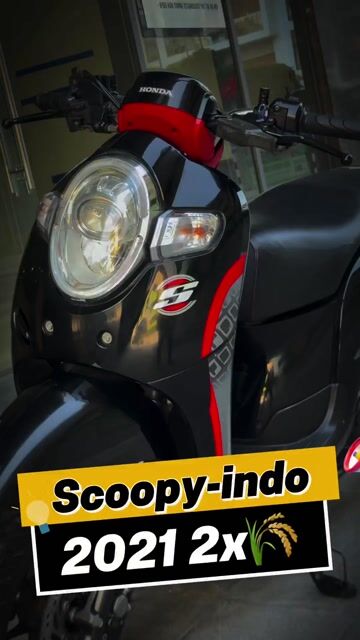 Honda Scoopy indo 29B2 đẹp zin dùng giữ còn mới. Mua bán Xe máy tại Quận Ba Đình Hà Nội được đăng bởi Xe Máy Nam Thi hình 1