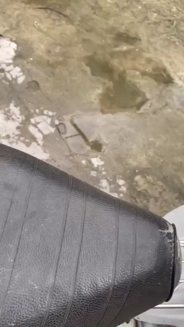 Cub 82 70cc Honda Nhật ĐỜI CAO biển 4 số Hà Nội 29. Mua bán Xe máy tại Huyện Thanh Trì Hà Nội được đăng bởi Theo Số hình 1