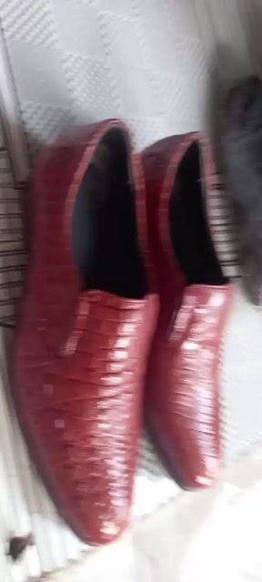 Giày da cá sấu cao cấp có bảo hành giảm giá 30%. Mua bán Giày dép tại Quận 12 Tp Hồ Chí Minh được đăng bởi Tấn  hình 1
