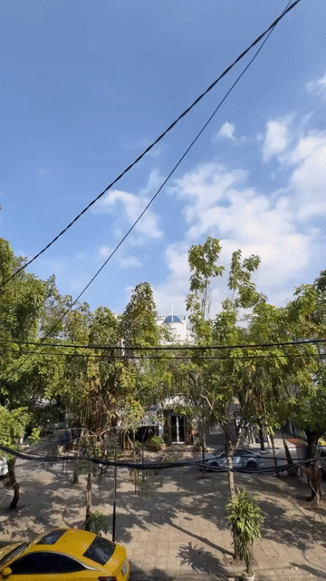 Cho thuê Căn hộ Chung cư Quận Tân Phú Tp Hồ Chí Minh diện tích 38 m² giá 5,5 triệu/tháng