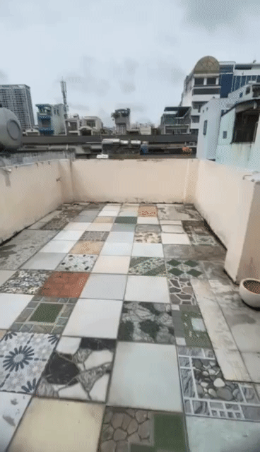 Cho thuê Nhà ở Quận 1 Tp Hồ Chí Minh diện tích 24 m² giá 15 triệu/tháng