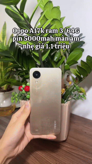 Oppo A17k 3GB/64GB Vàng. Mua bán Điện thoại tại Quận Hà Đông Hà Nội được đăng bởi Điện Thoại Cũ  hình 1
