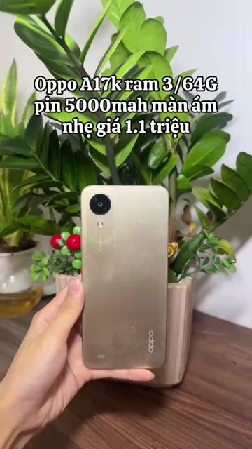 Oppo A17k 3GB/64GB Vàng. Mua bán Điện thoại tại Quận Hà Đông Hà Nội được đăng bởi Điện Thoại Cũ  hình 1