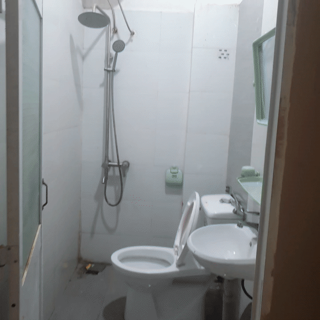 Mèo Anh đực đã thiến lông dài. Mua bán Mèo tại Thành phố Đà Lạt Lâm Đồng được đăng bởi Tên chưa cung cấp hình 1