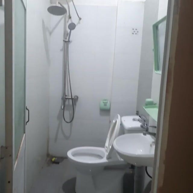 Mèo Anh đực đã thiến lông dài. Mua bán Mèo tại Thành phố Đà Lạt Lâm Đồng được đăng bởi Tên chưa cung cấp hình 1