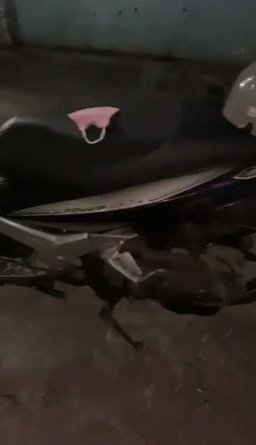 Yamaha Nouvo 5 2012 Bạc-Tím. Mua bán Xe máy tại Quận Sơn Trà Đà Nẵng được đăng bởi Kyn hình 1