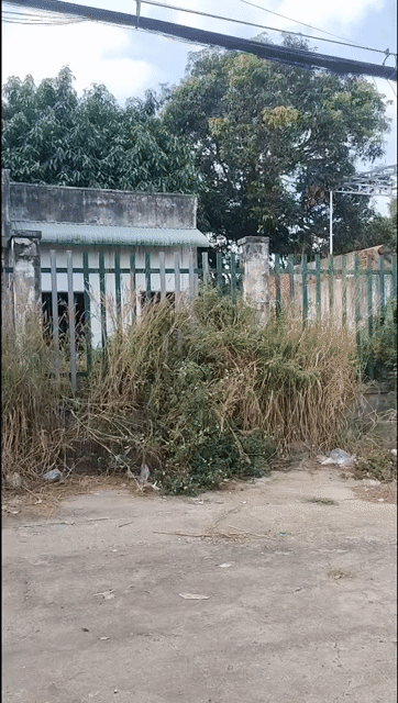 Cho thuê Văn phòng, Mặt bằng kinh doanh Huyện Thống Nhất Đồng Nai diện tích 2104 m² giá 20 triệu/tháng