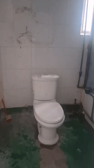Cho thuê Nhà ở Huyện Hóc Môn Tp Hồ Chí Minh diện tích 56 m² giá 4 triệu/tháng