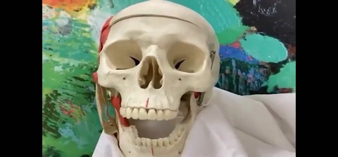 Prothésiste Dentaire, un métier mordant